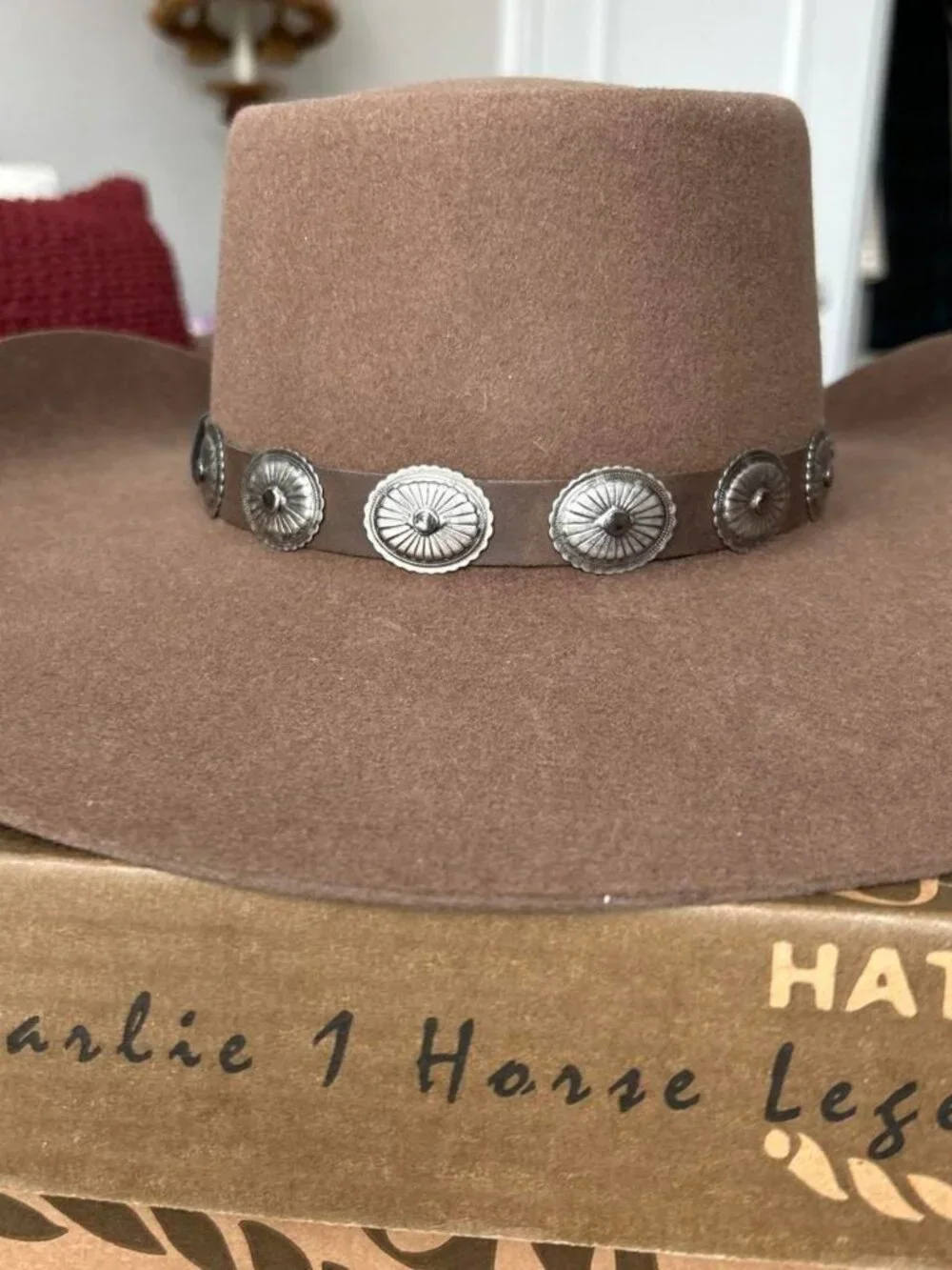Charlie 1 Horse charlie horse
