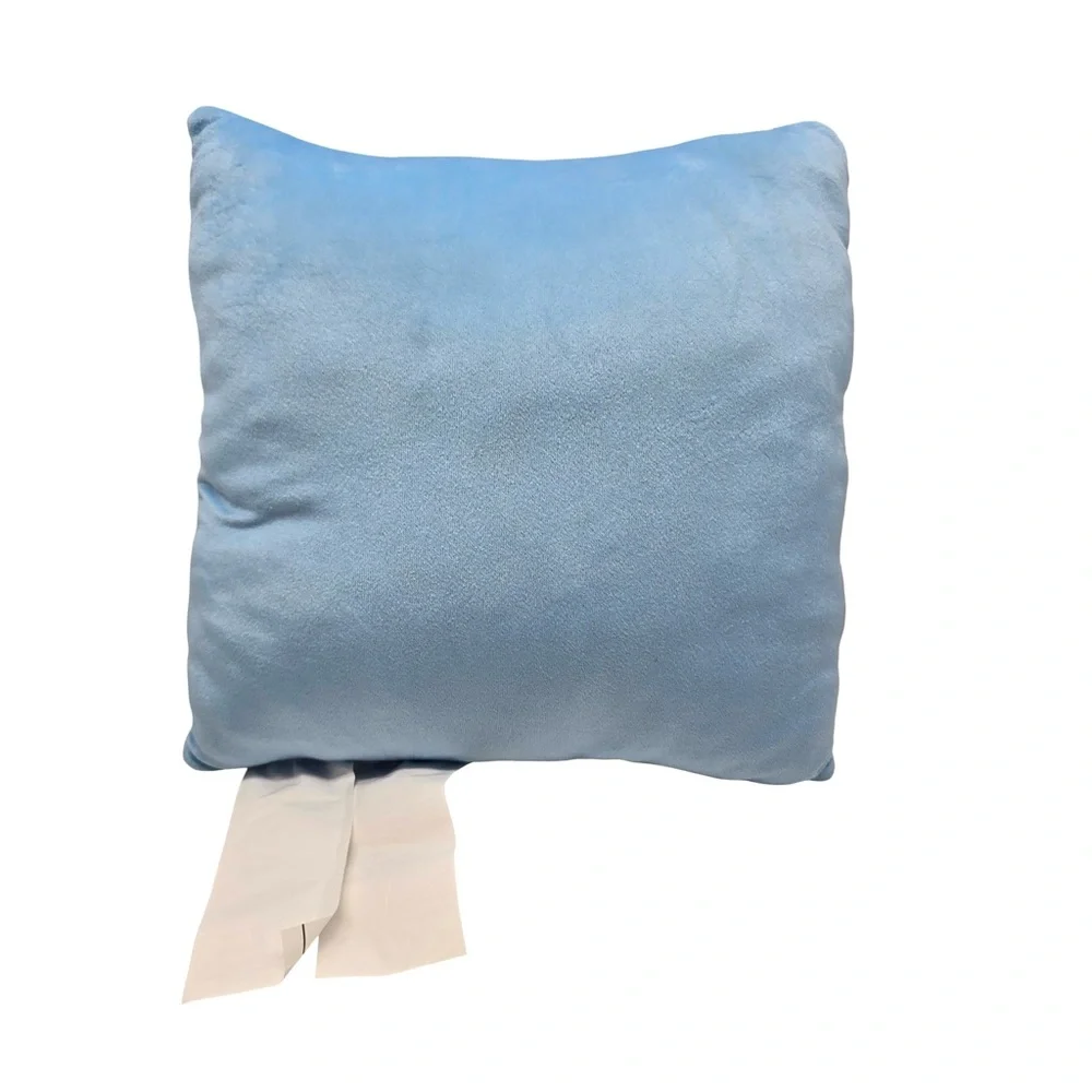 Bluey pillow bundle graphics