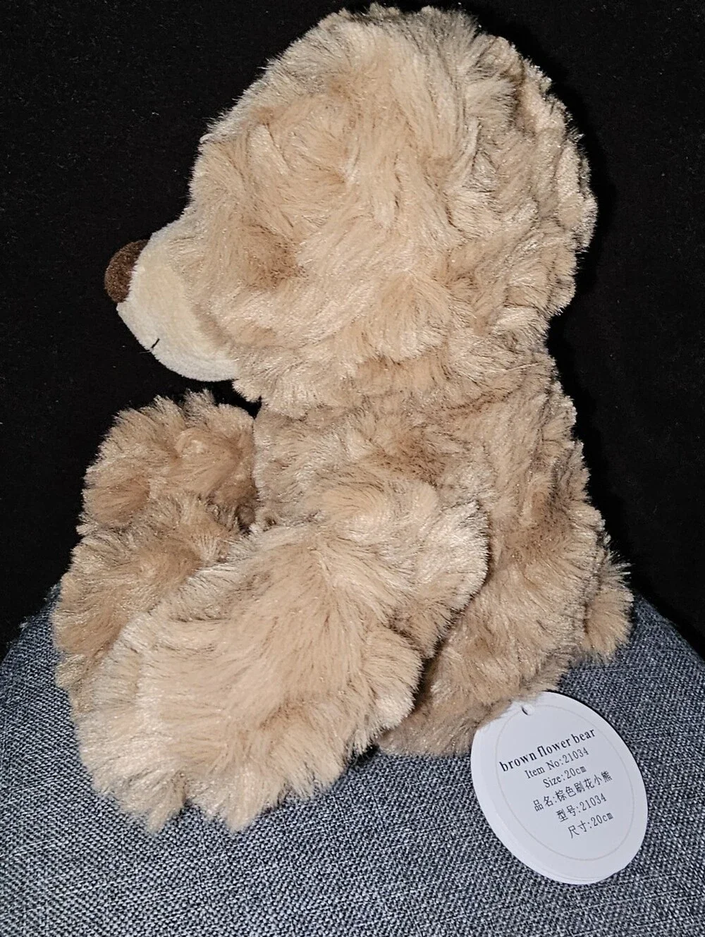 APRICOT office go teddy