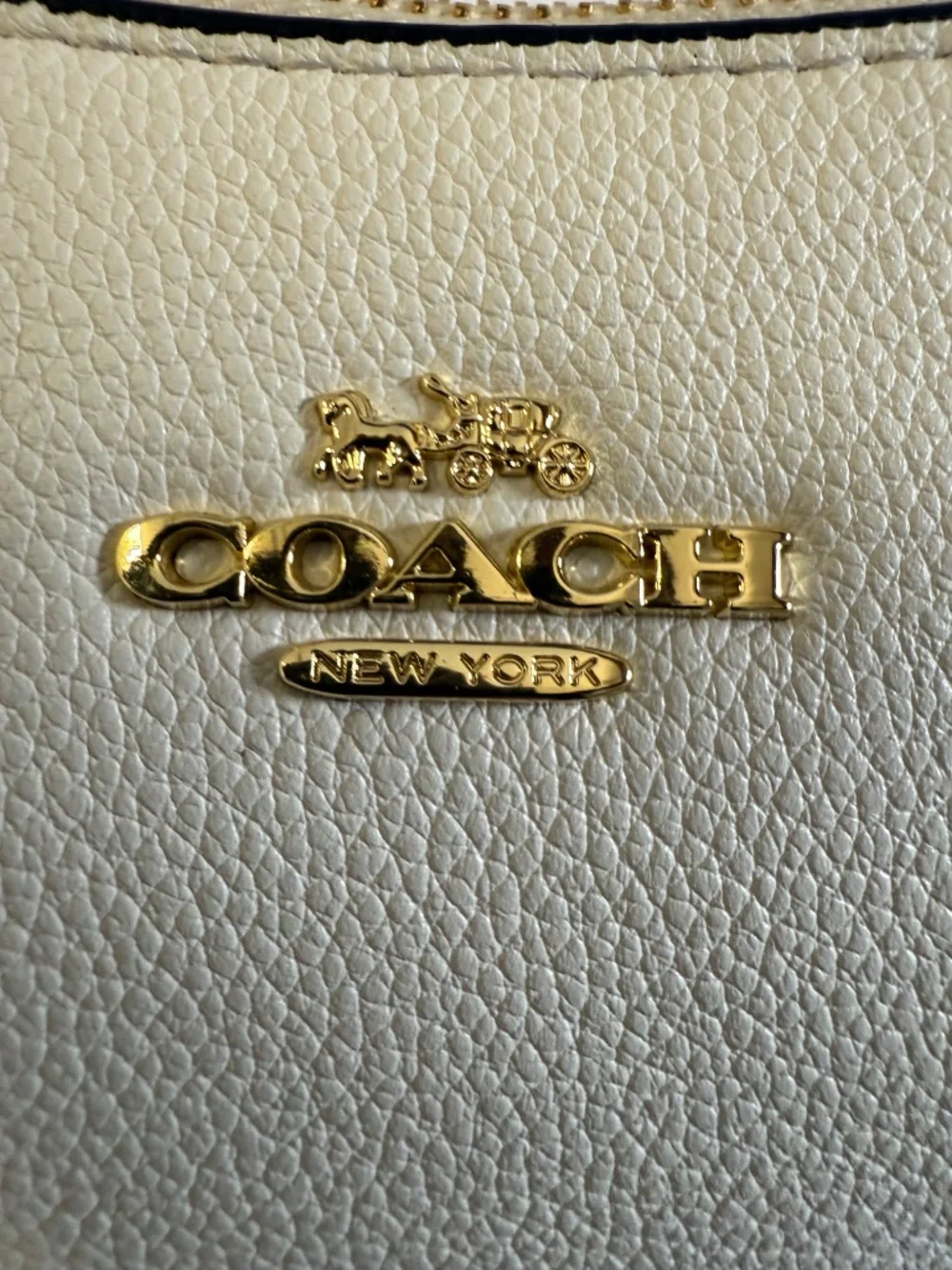 Cute snoopy x coach teri bag same day shipping!