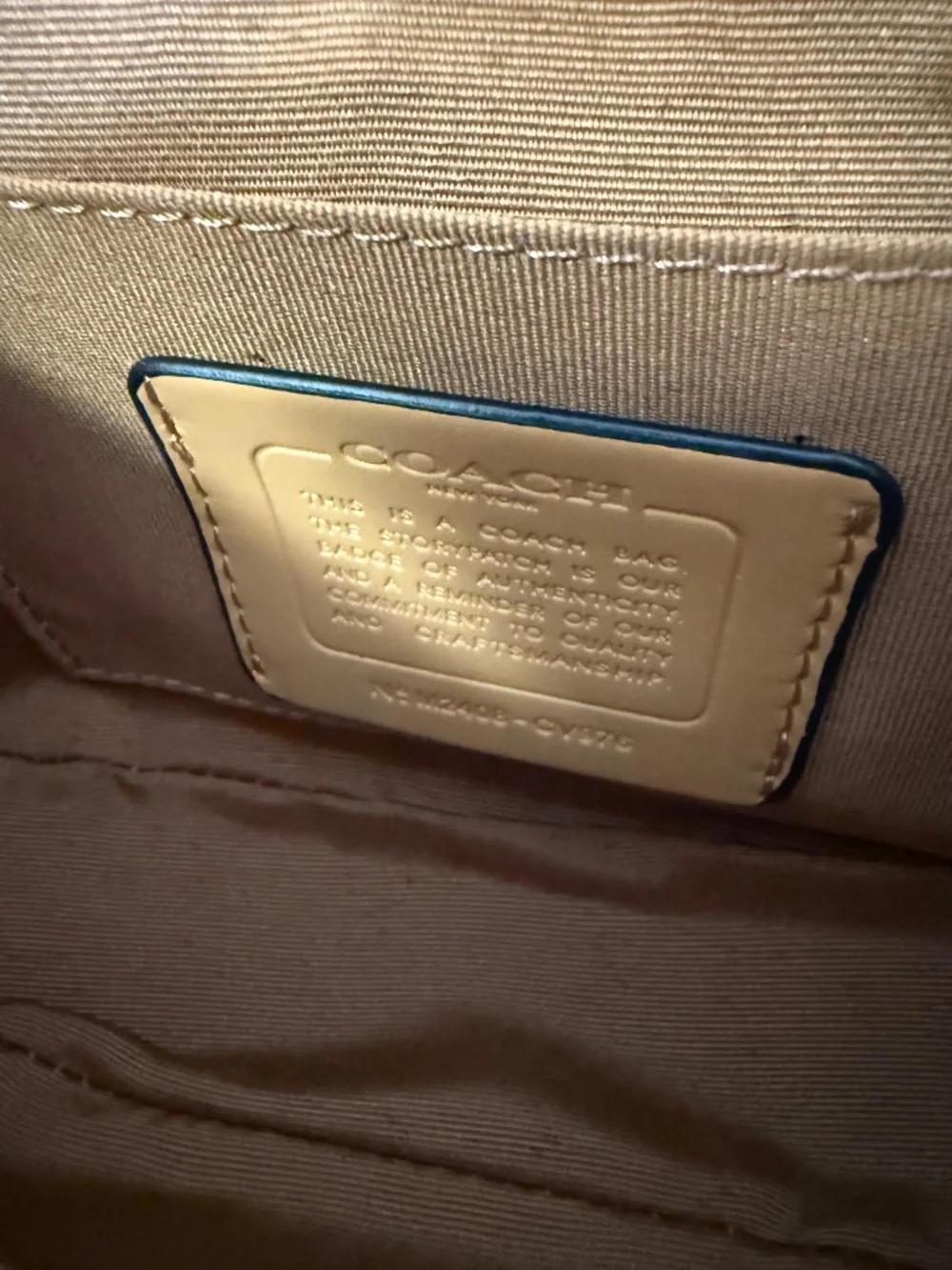 Cute snoopy x coach teri bag same day shipping!