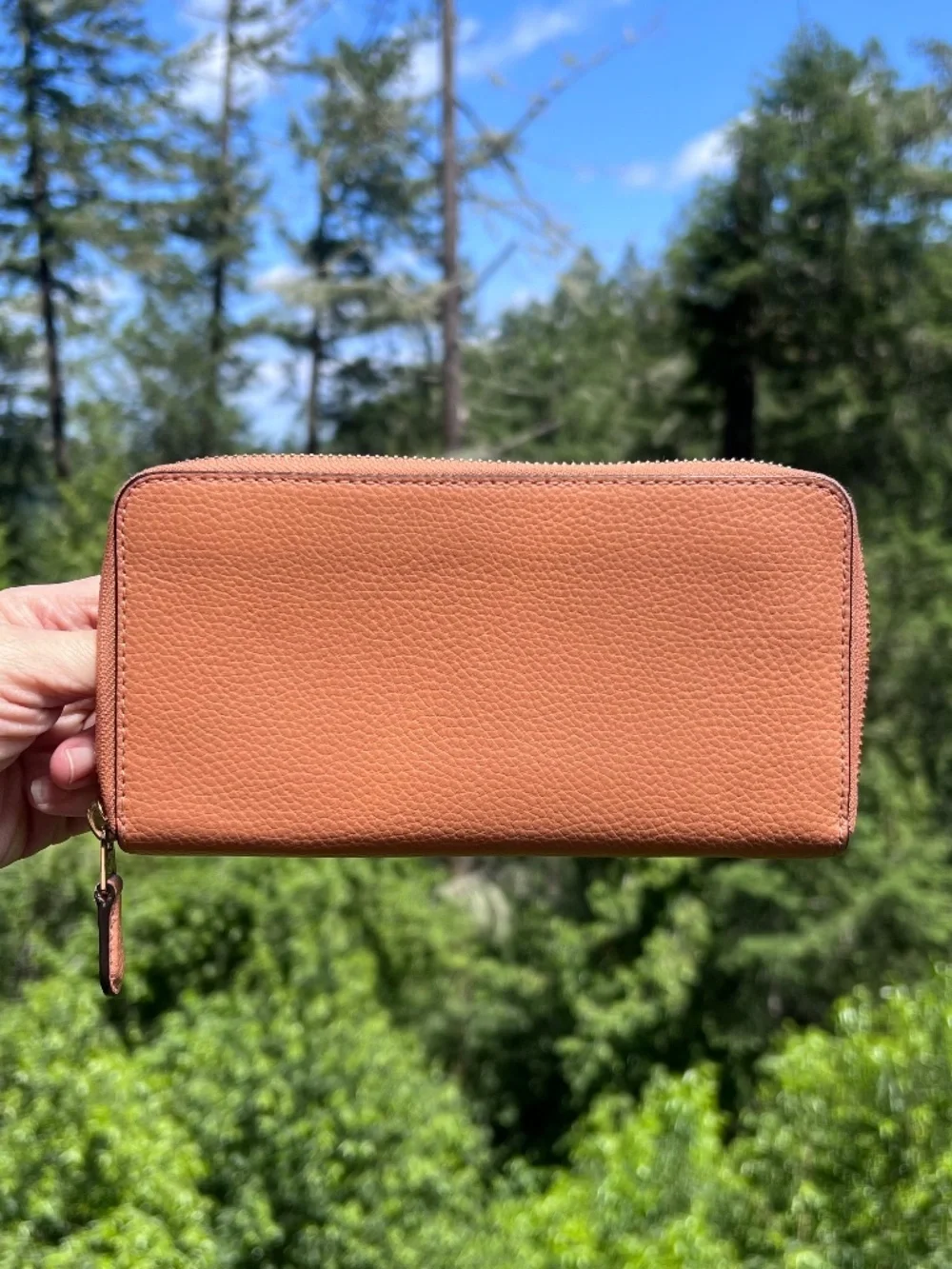 Coach accordion zip