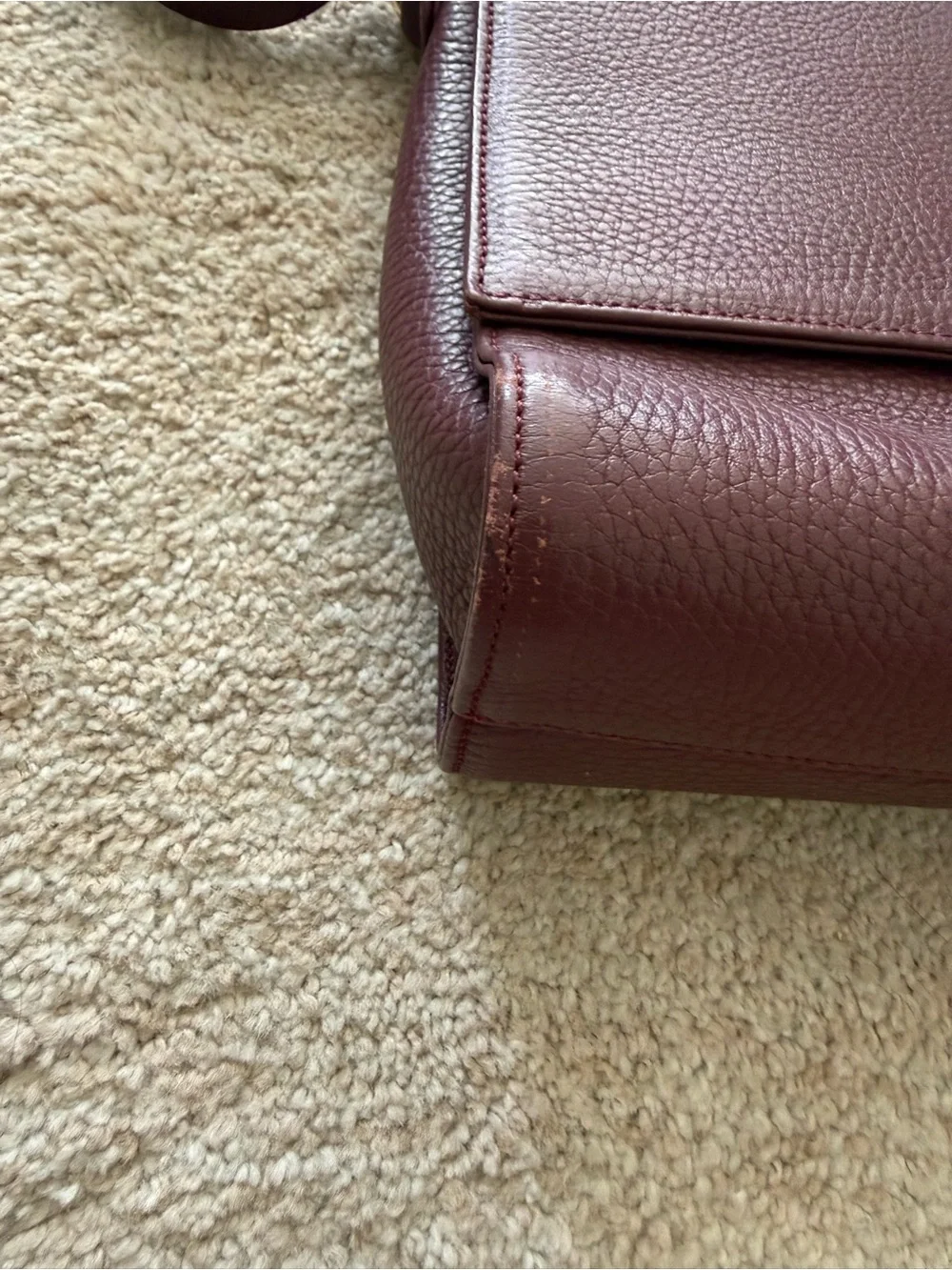 Cuyana elegant burgundy