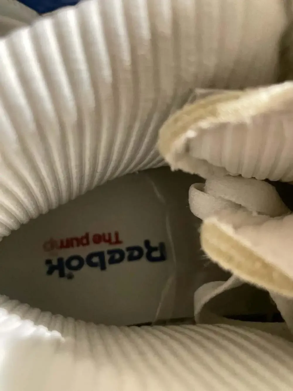 Reebok pump omni
