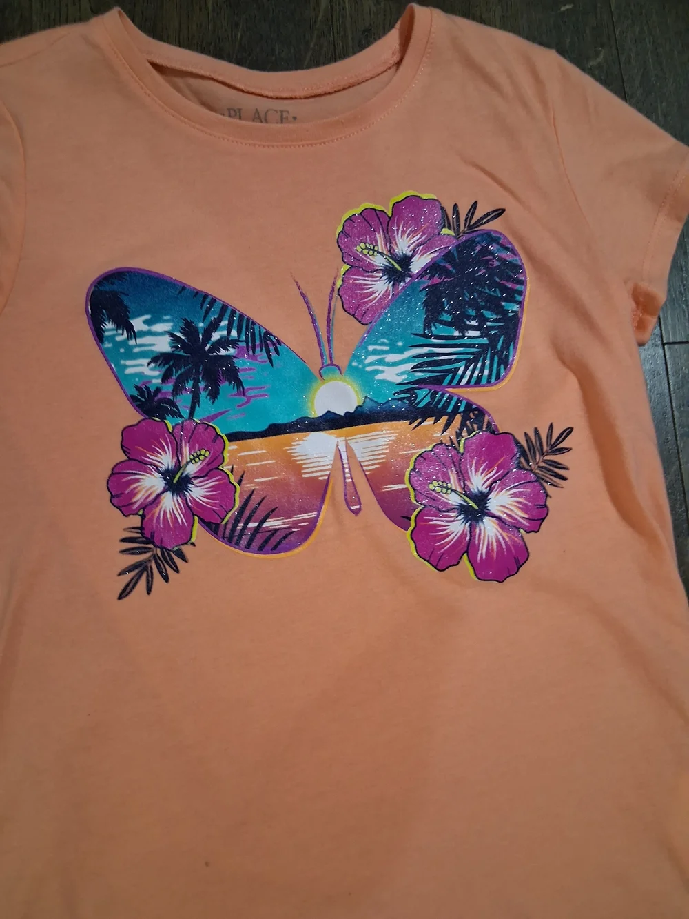 The Childrens Place great 6x butterfly