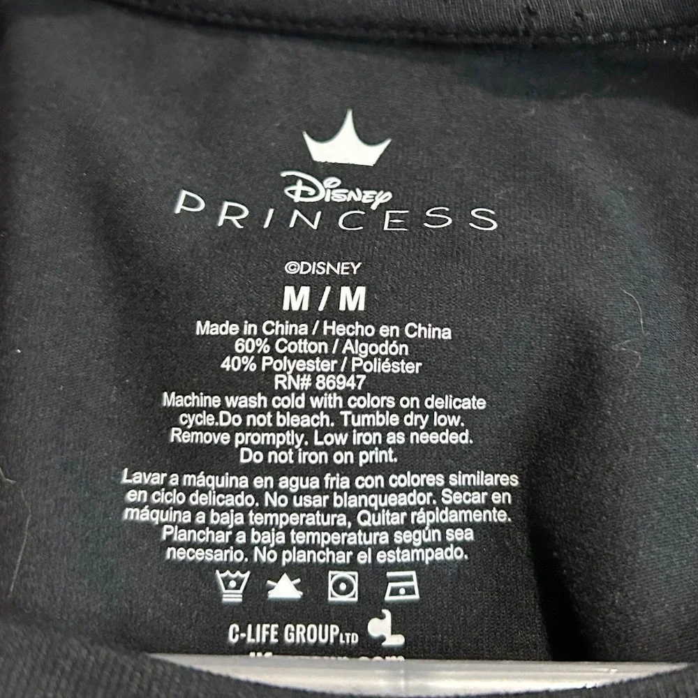 Disney measurements pit