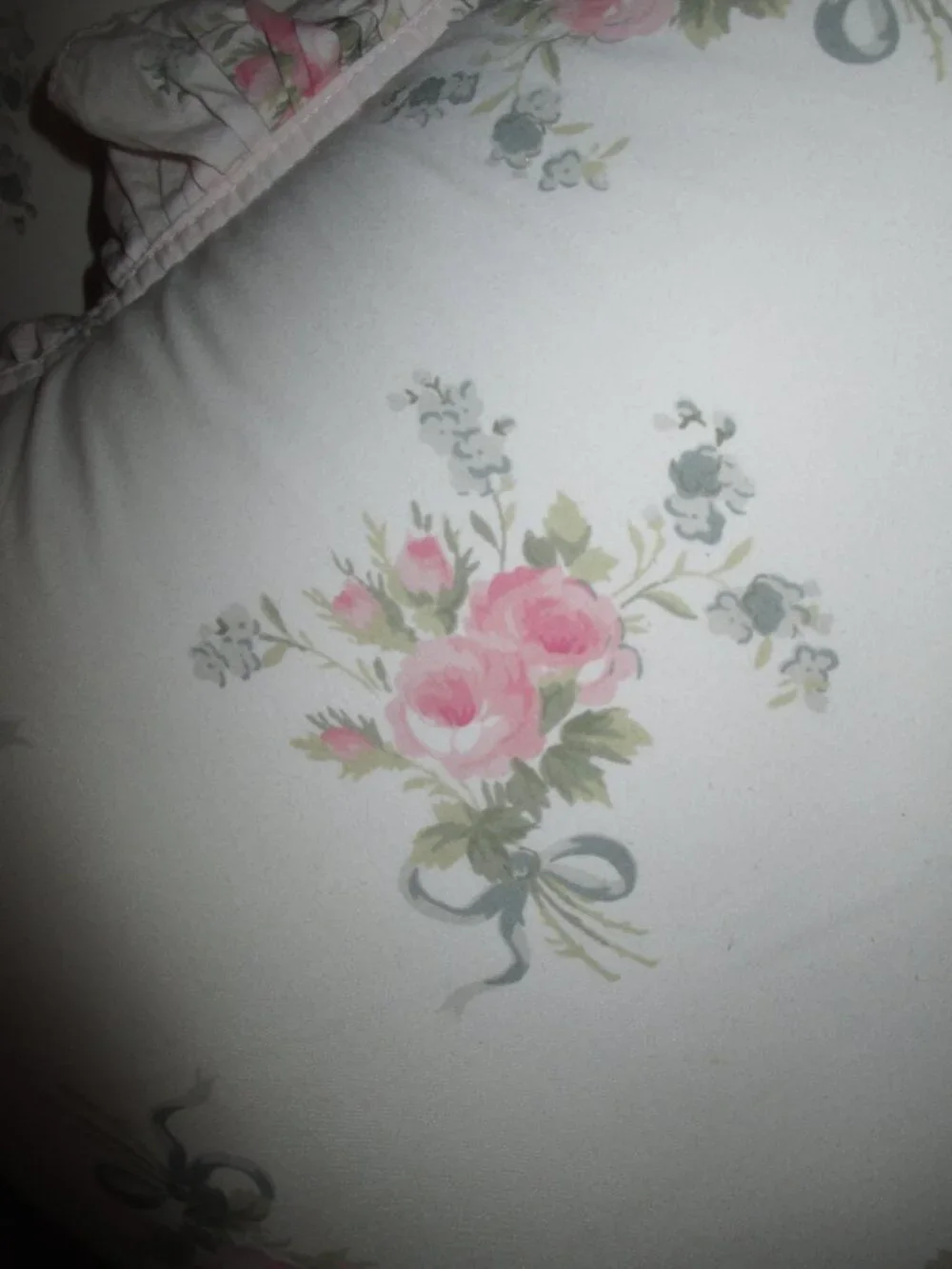 Shabby Chic Floral Deco Pillows