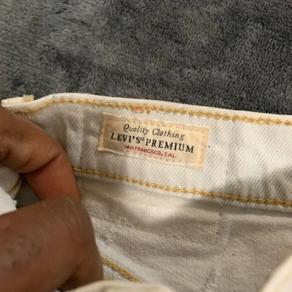 Levis levi strauss