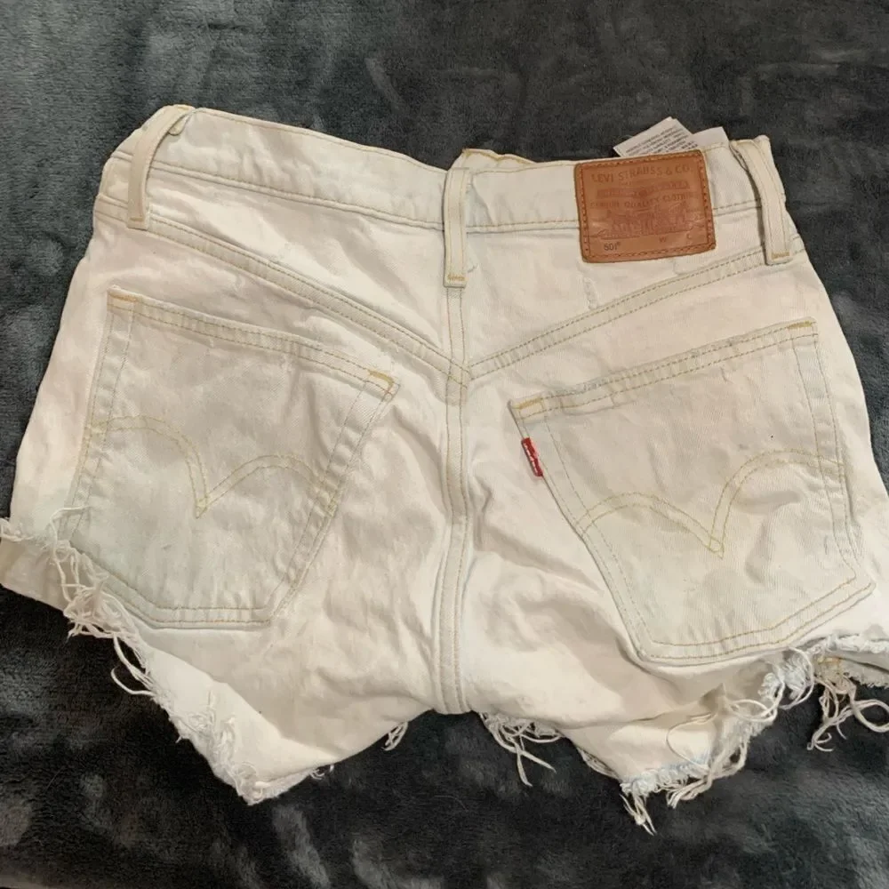 Levis levi strauss