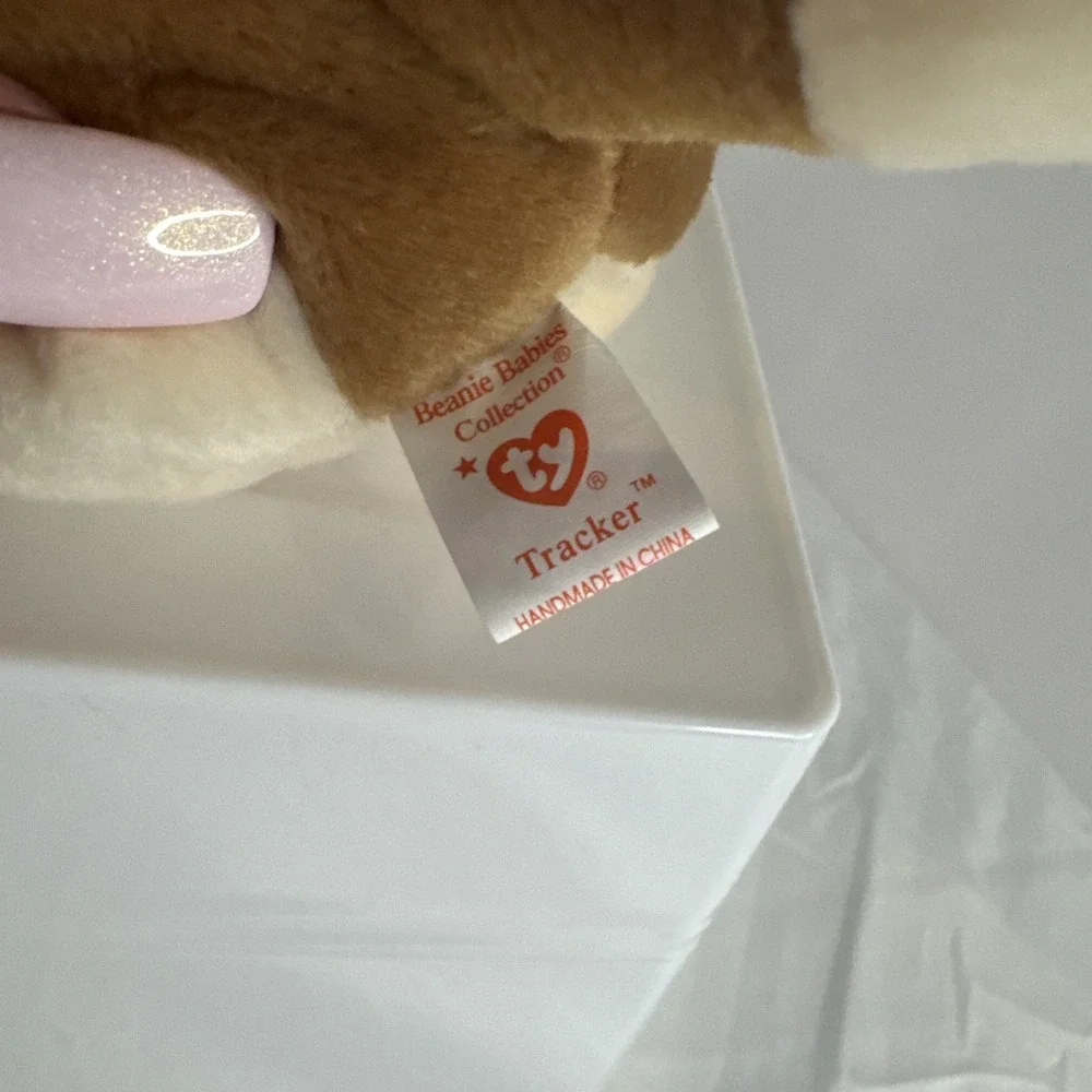 Ty contains tag
