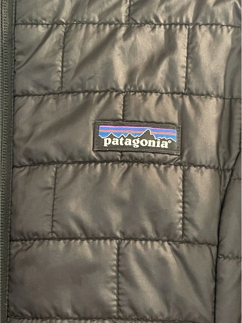 Patagonia womens nano