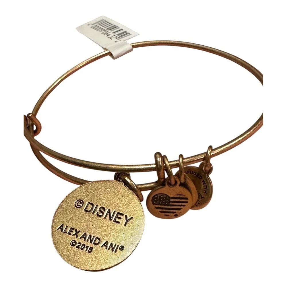 Alex and Ani detail different
