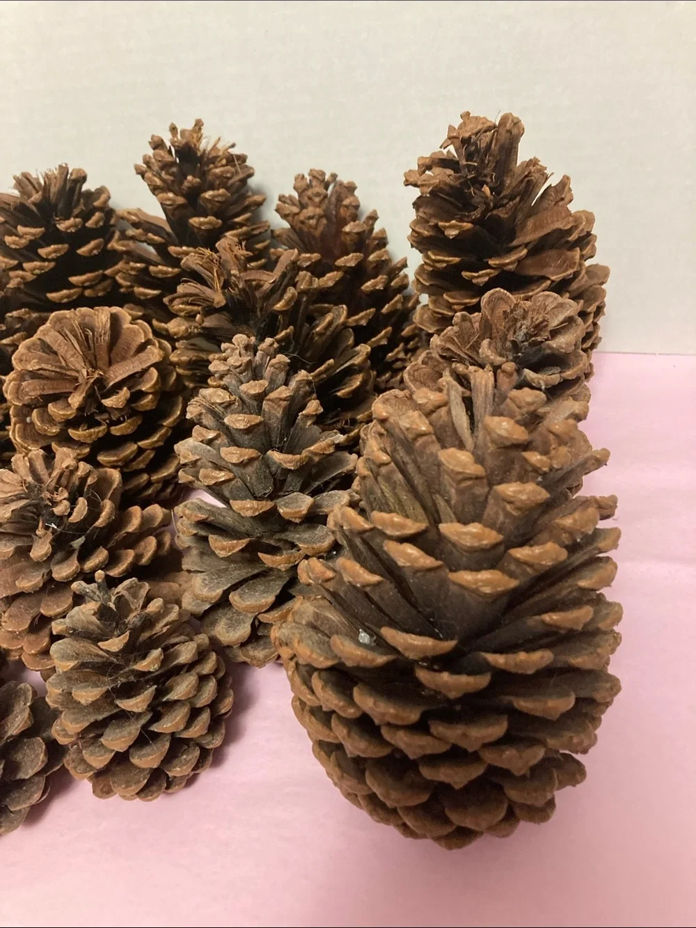 N/A these pine
