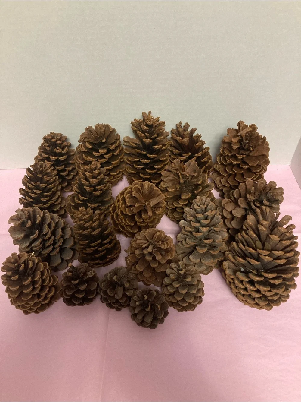N/A these pine
