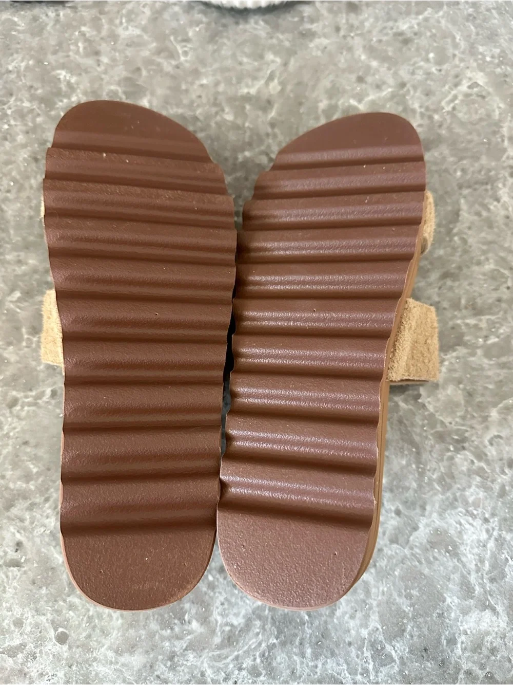 Reef new without