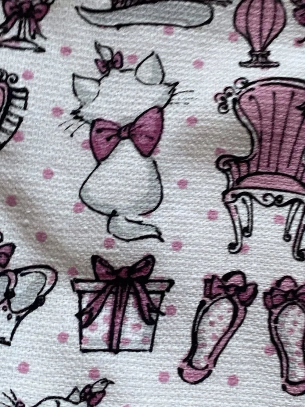 Disney pk aristocats