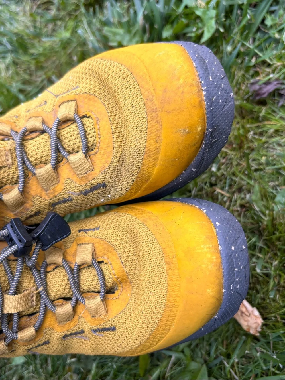 REI co op