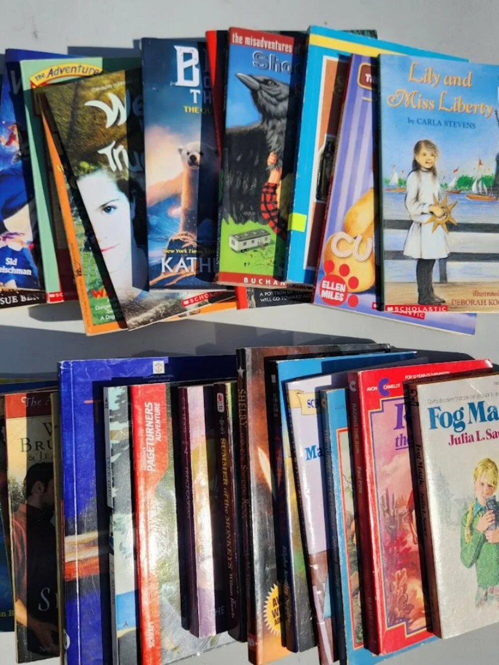 Scholastic young fast