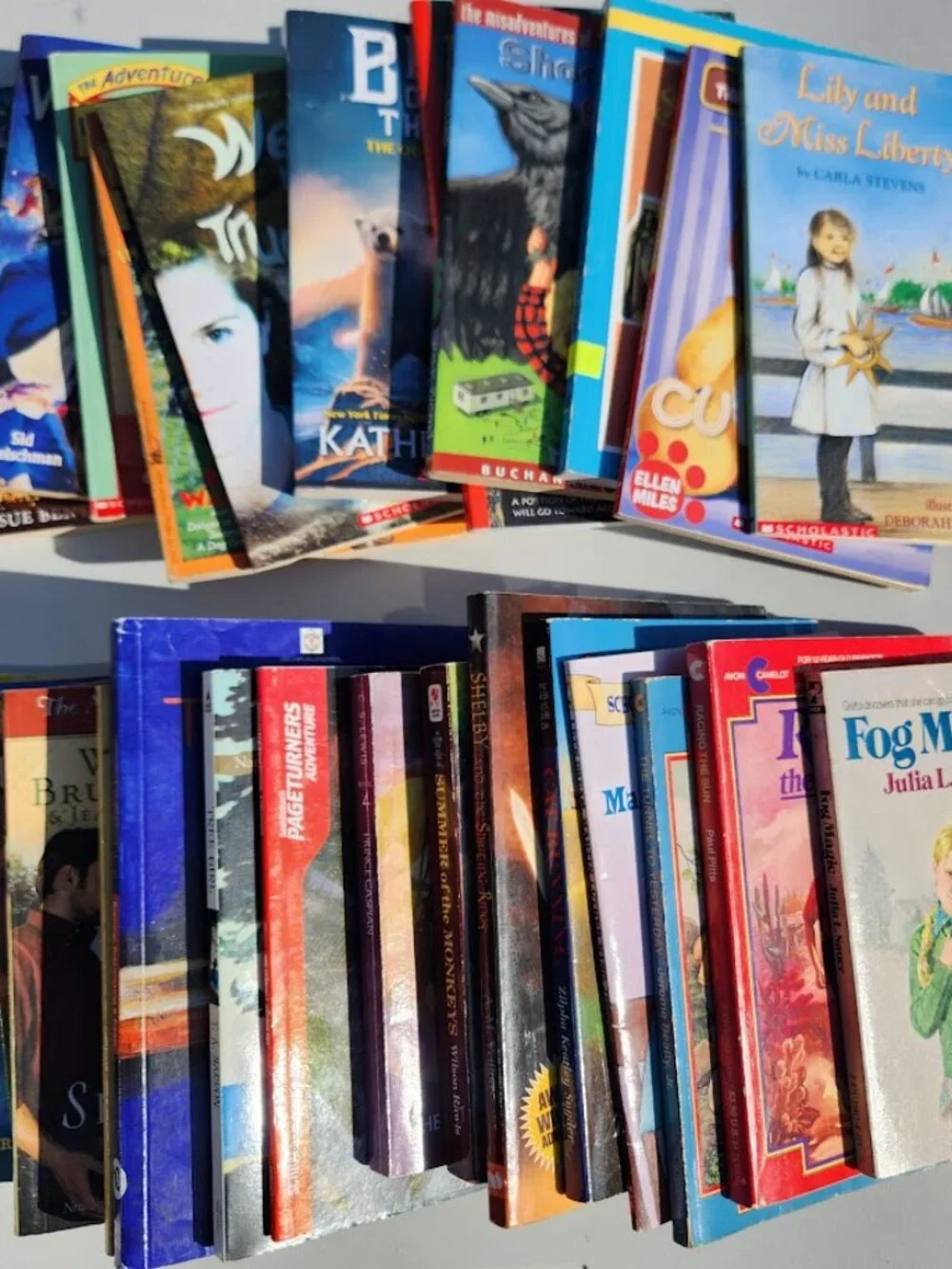 Scholastic young adult receive