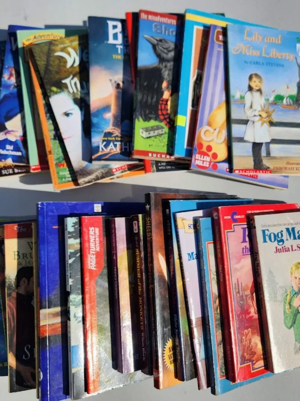 Scholastic books literature adult