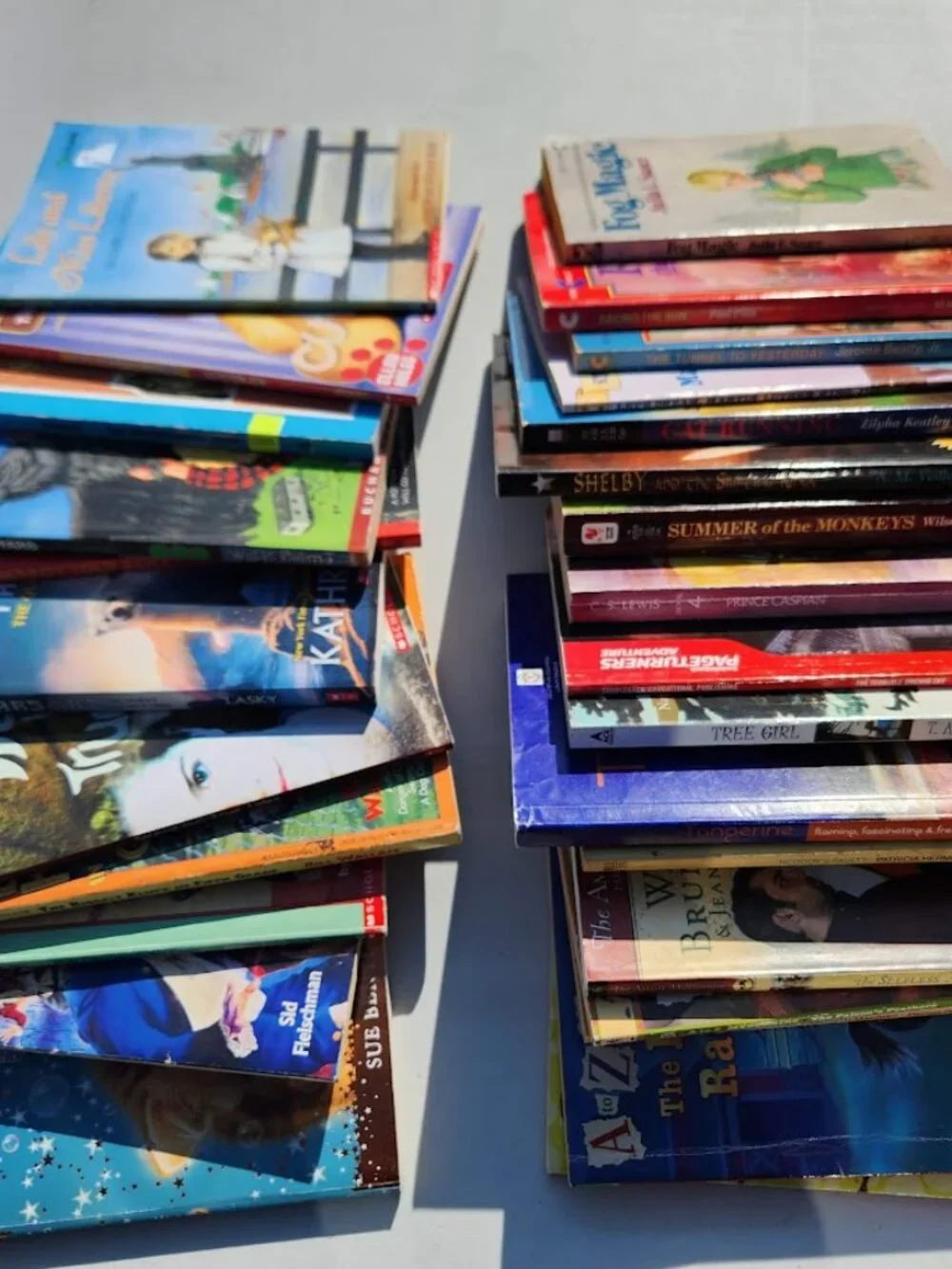 Scholastic day shipping literature