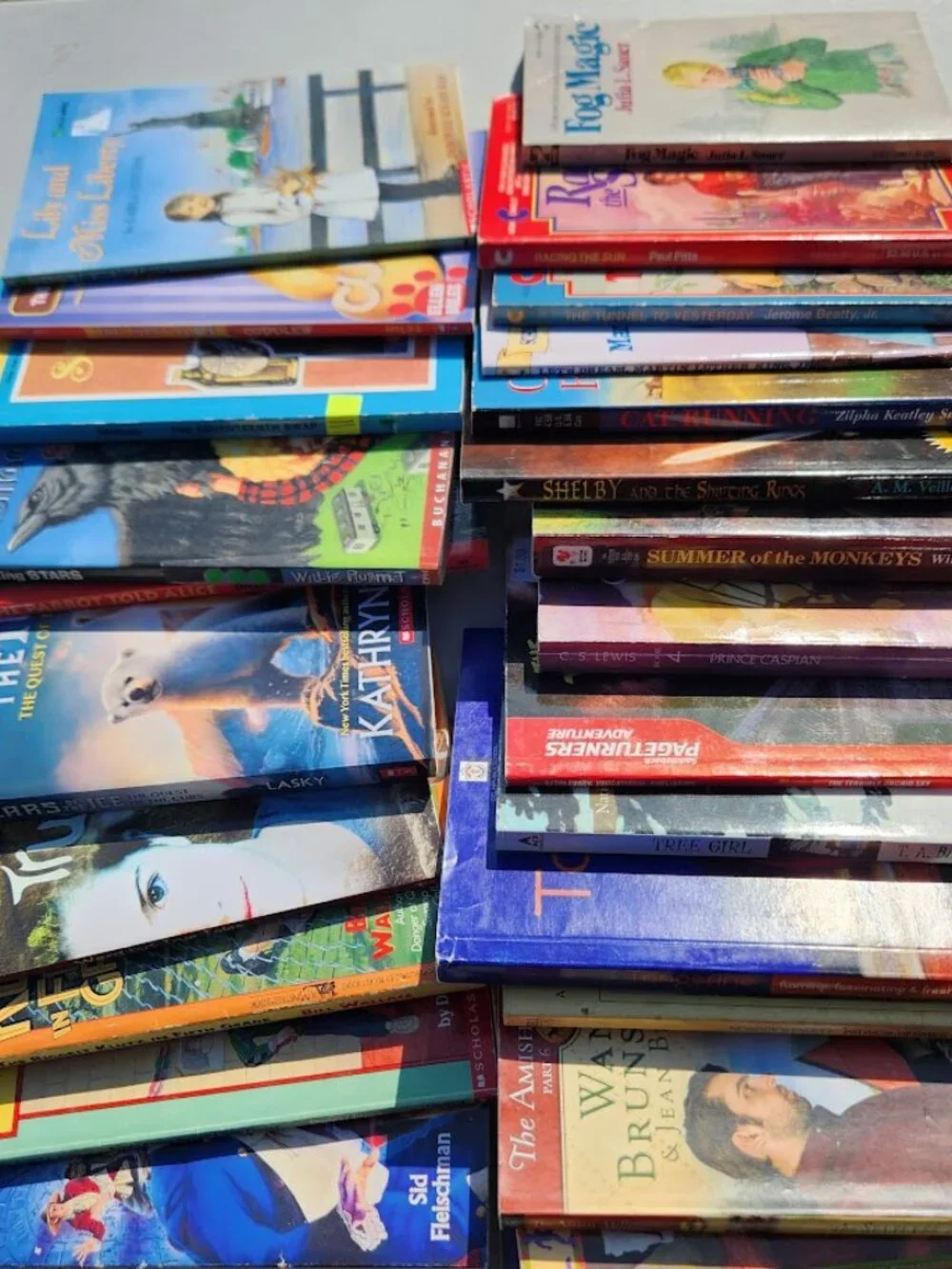 Scholastic you day
