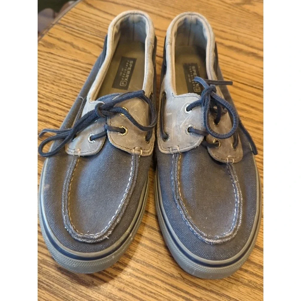Sperry men halyard