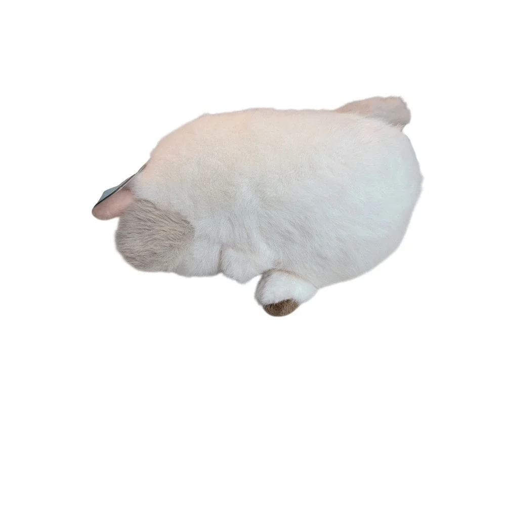 HAL smoochy pet