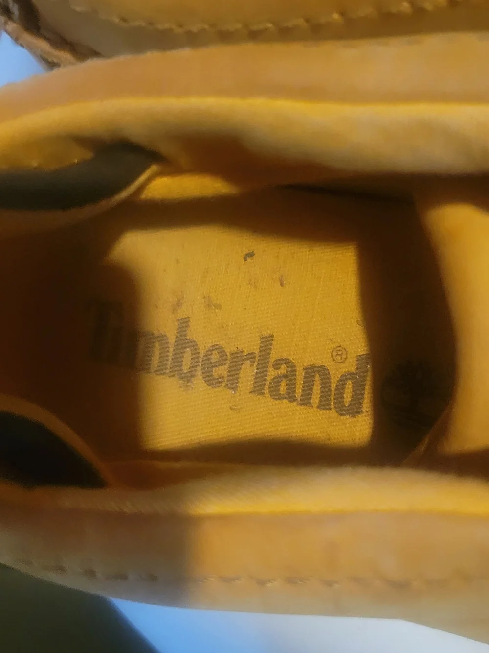 Timberland classic chukka