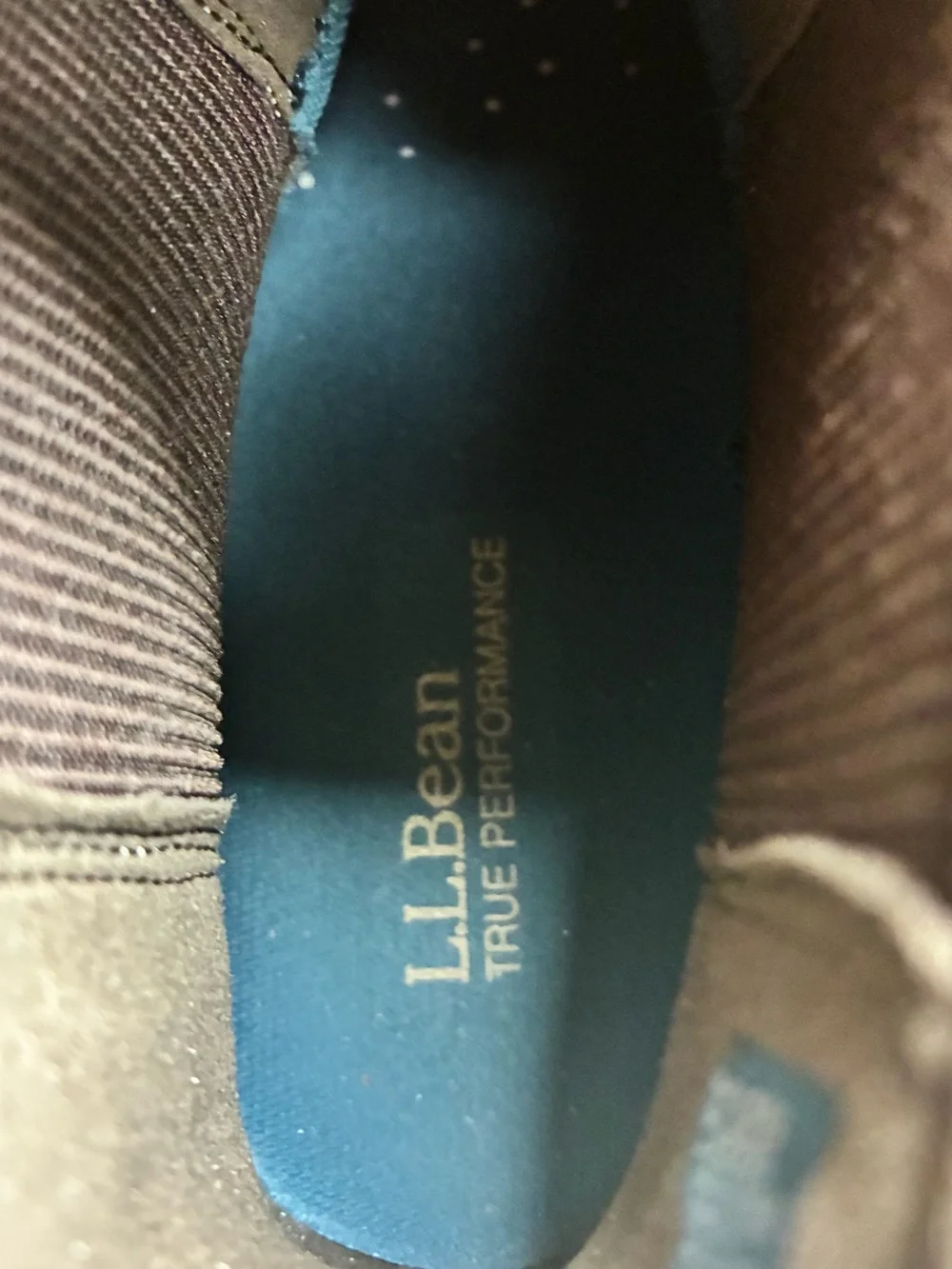 L.L. Bean suede chukka