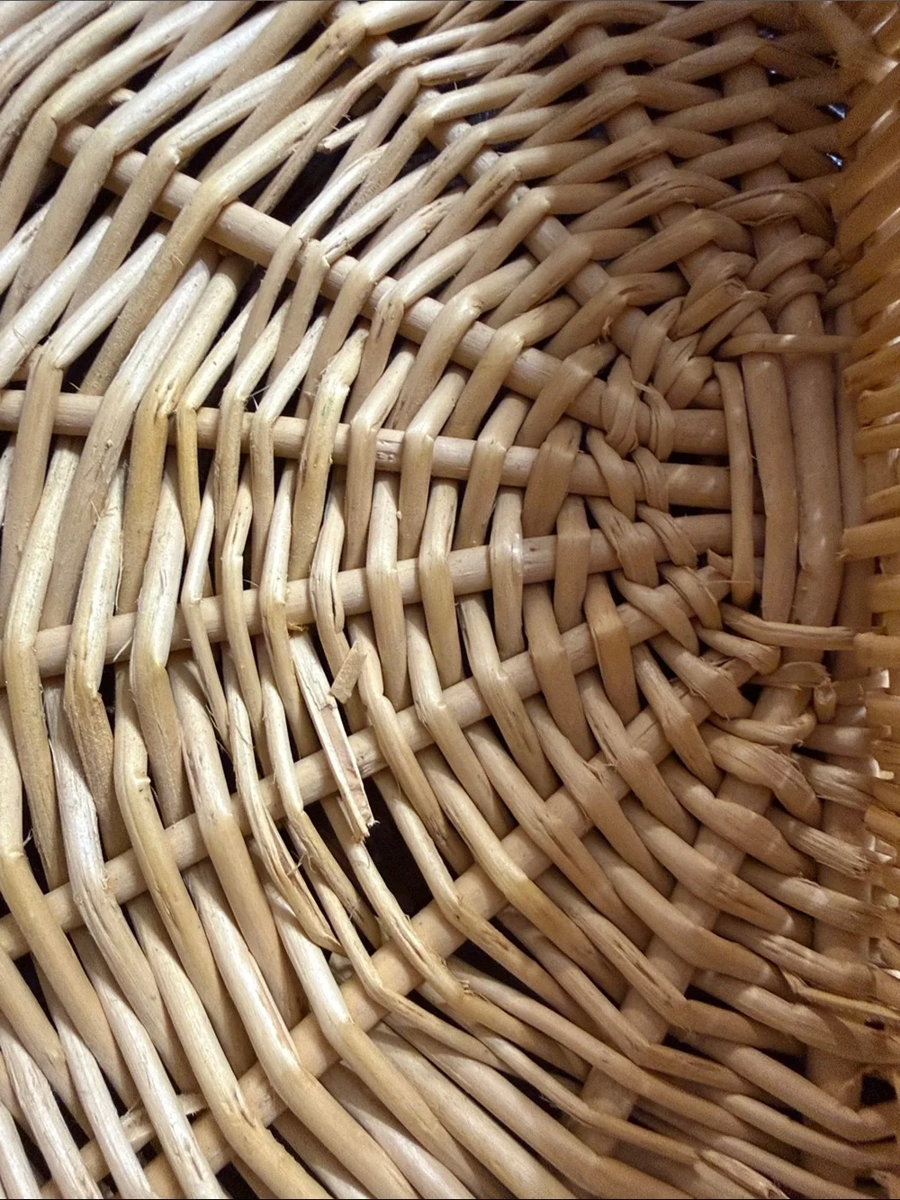 The Unbranded Brand variety fresh wicker
