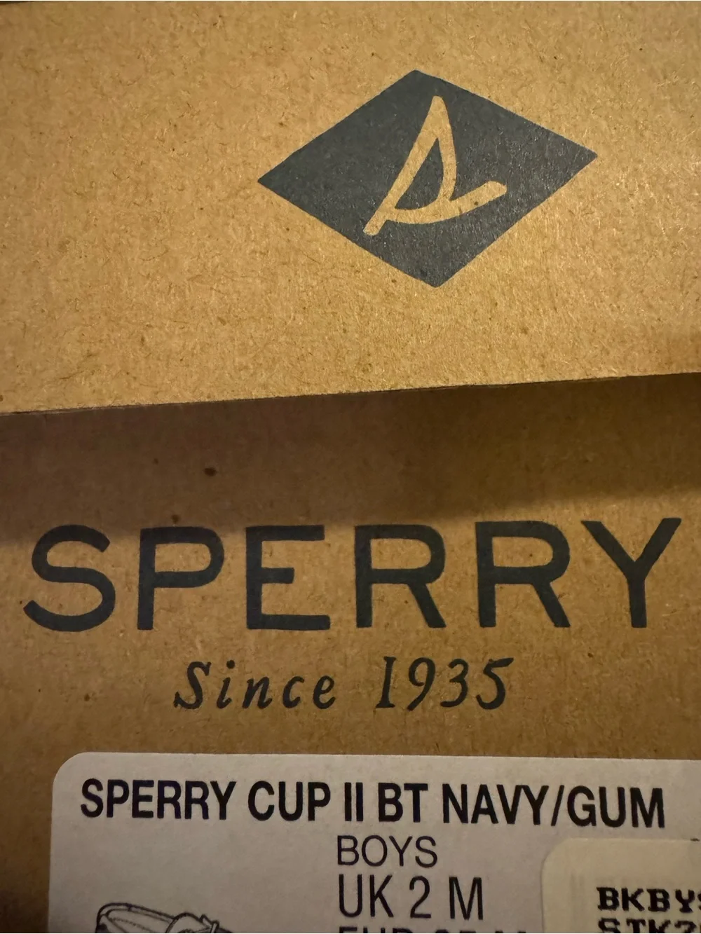 Sperry classic navy