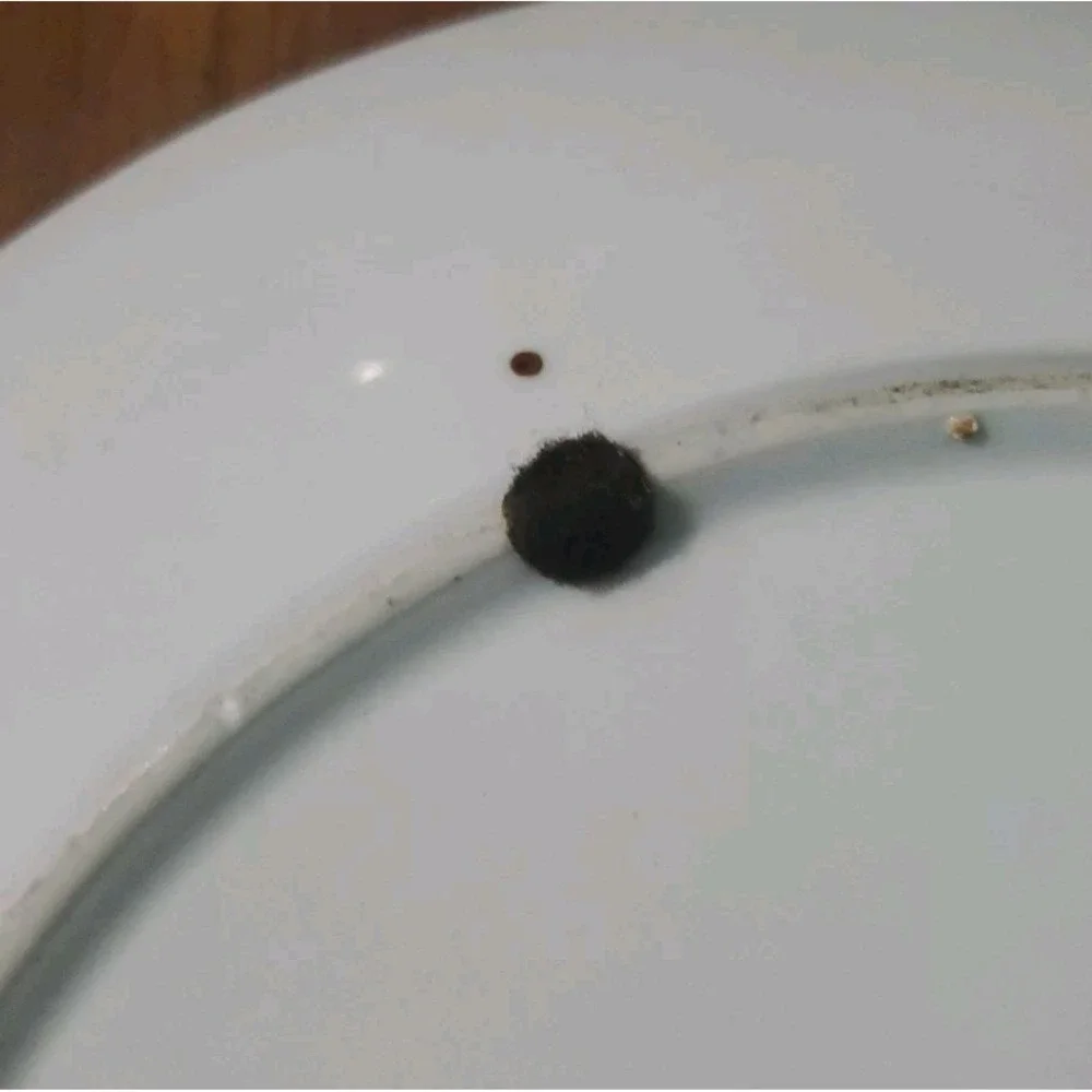 N/A plate was
