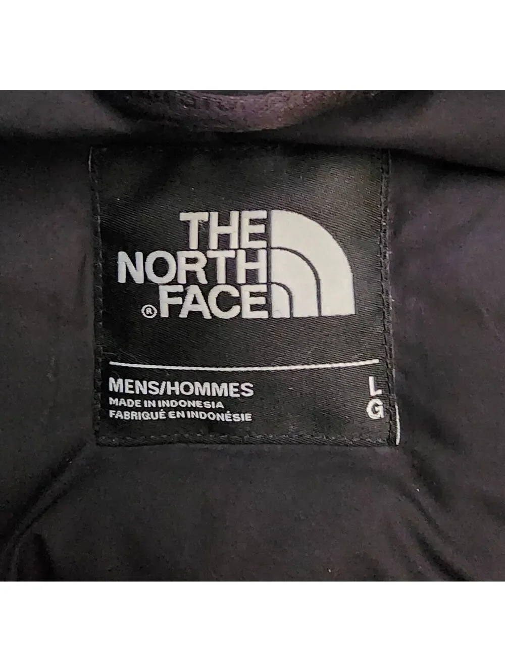 The North Face men north