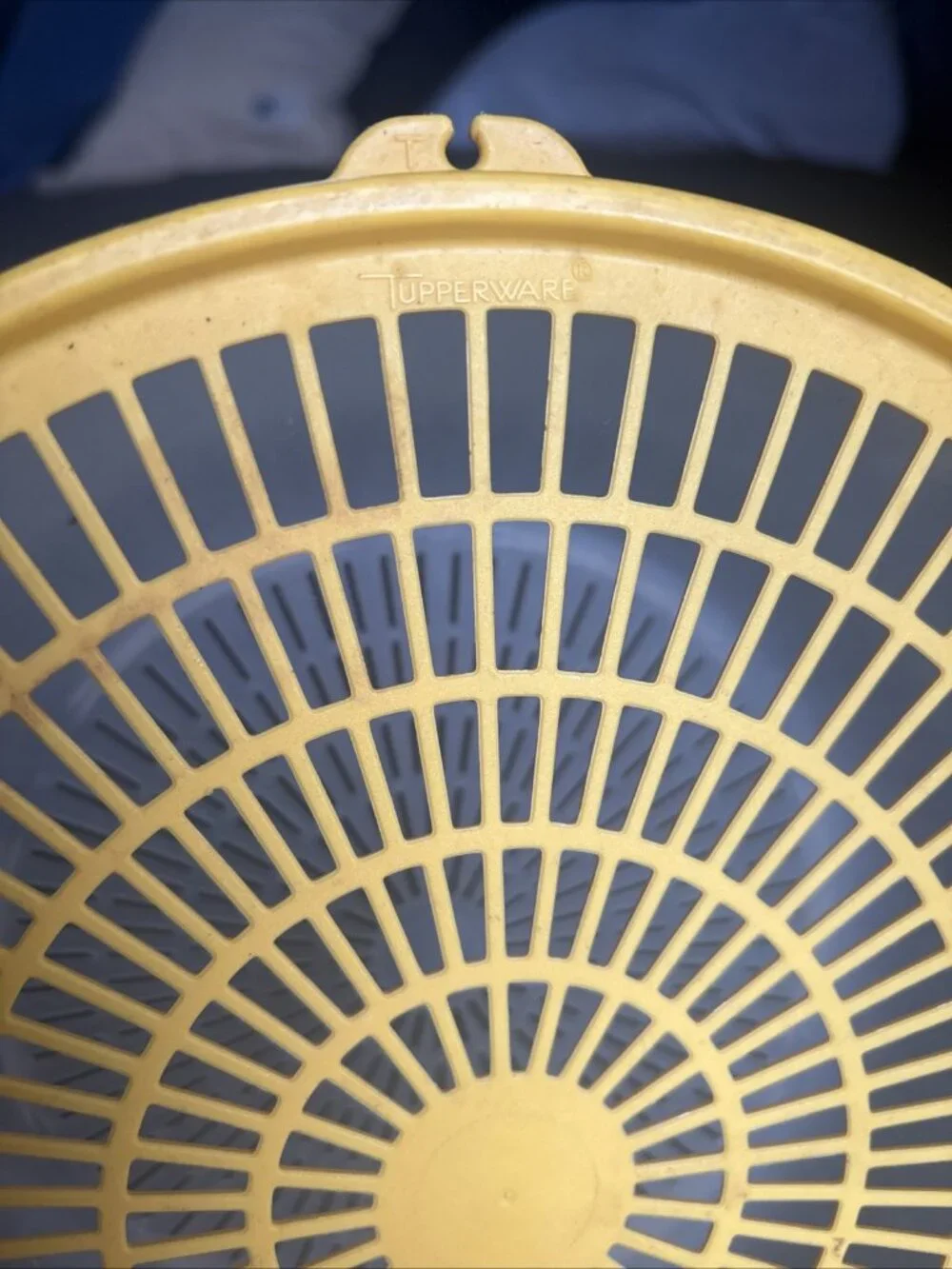 Tupperware colander veggie