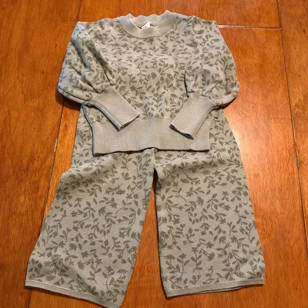 Modern‎ Moments by Gerber Toddler Girls Sage Green Floral Knit Sweater Set 3T
