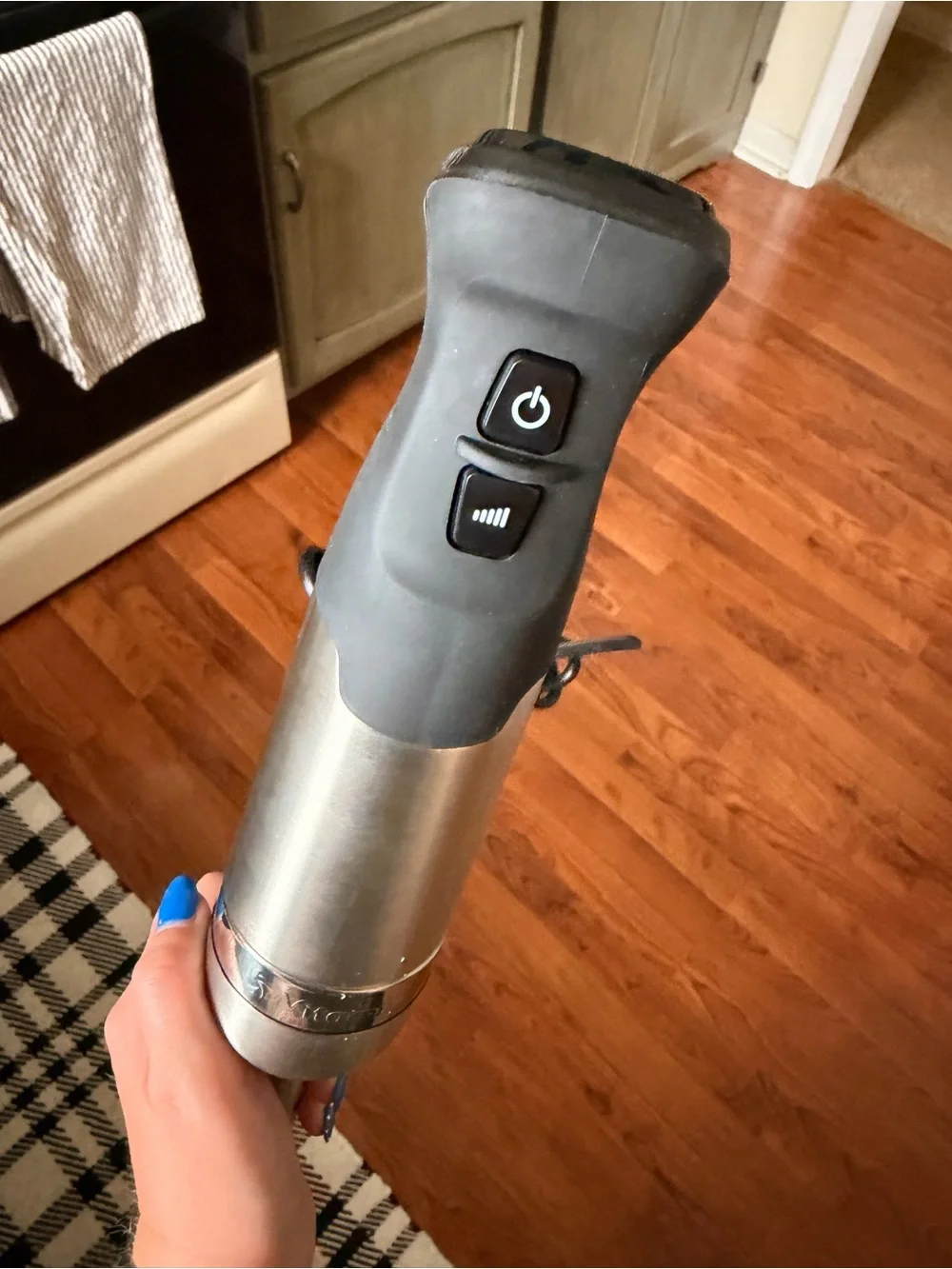 Vitamix sleek immersion