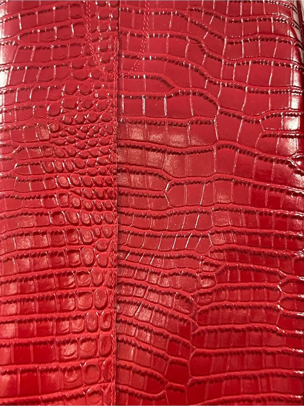 Sam Edelman Women’s Raakel Red Croc-Embossed Over-the-Knee Pointed Toe Boots