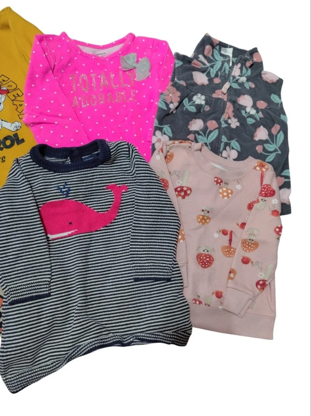 Carters holes bundle you