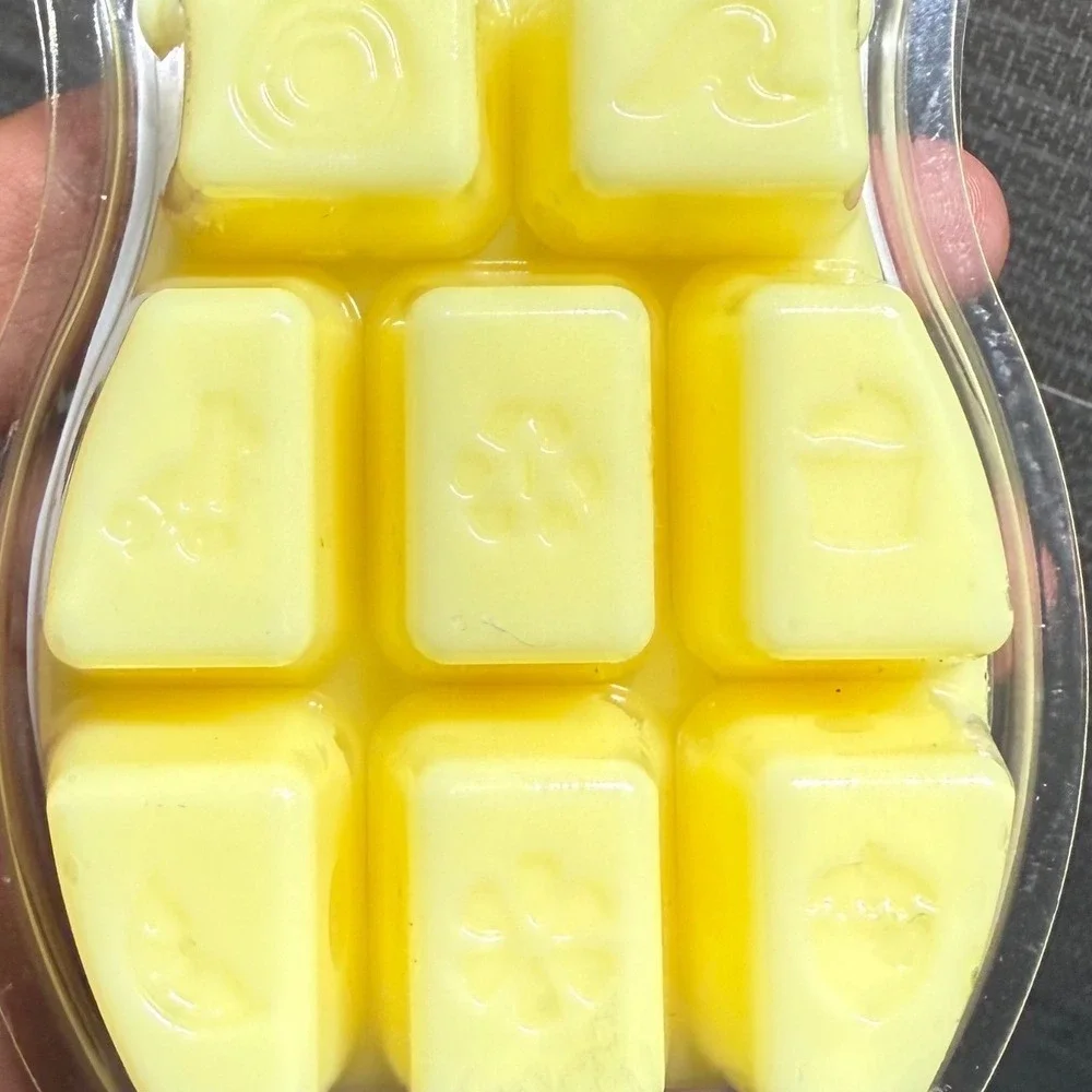 Scentsy disney belle