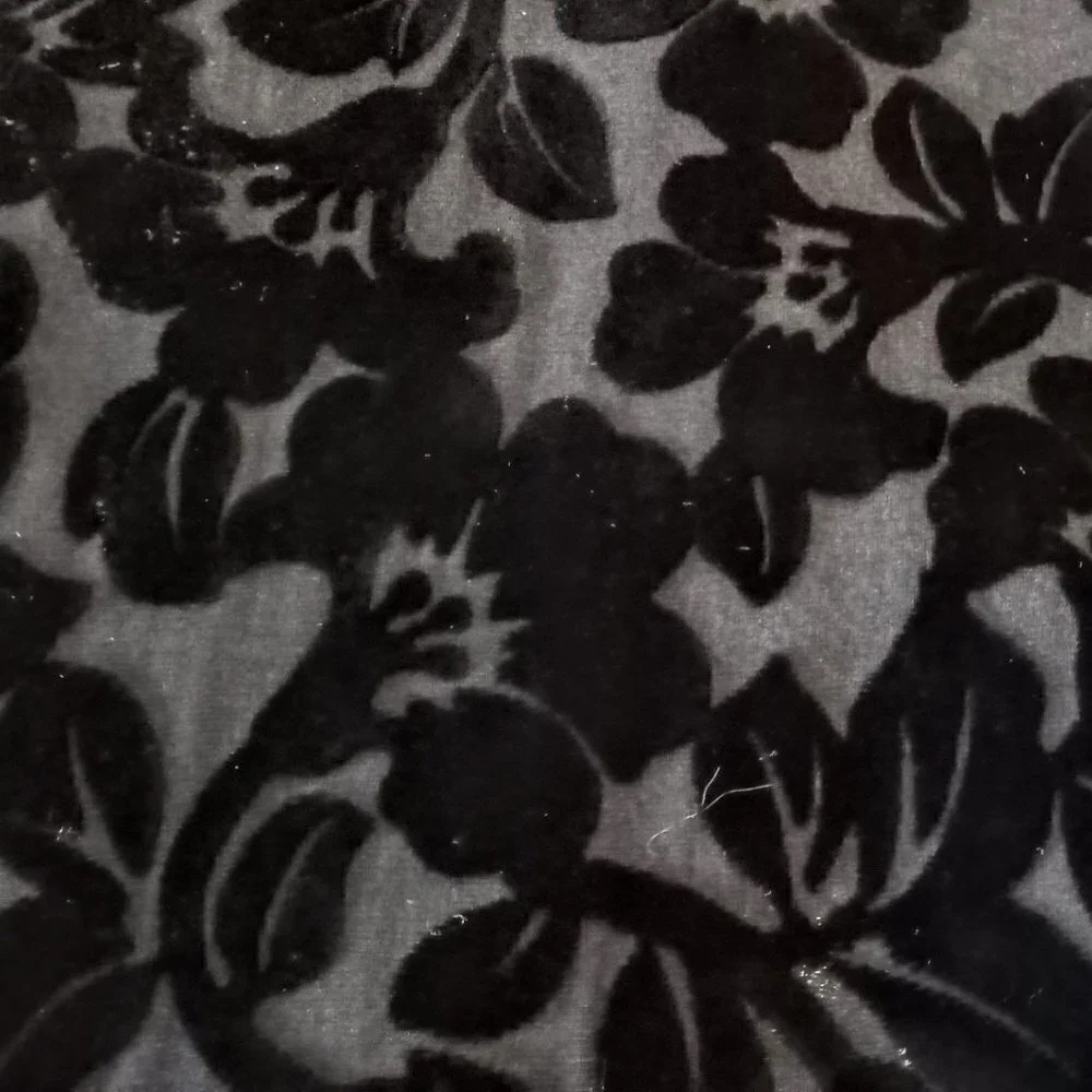 Jacqueline Ferrar velvet burnout