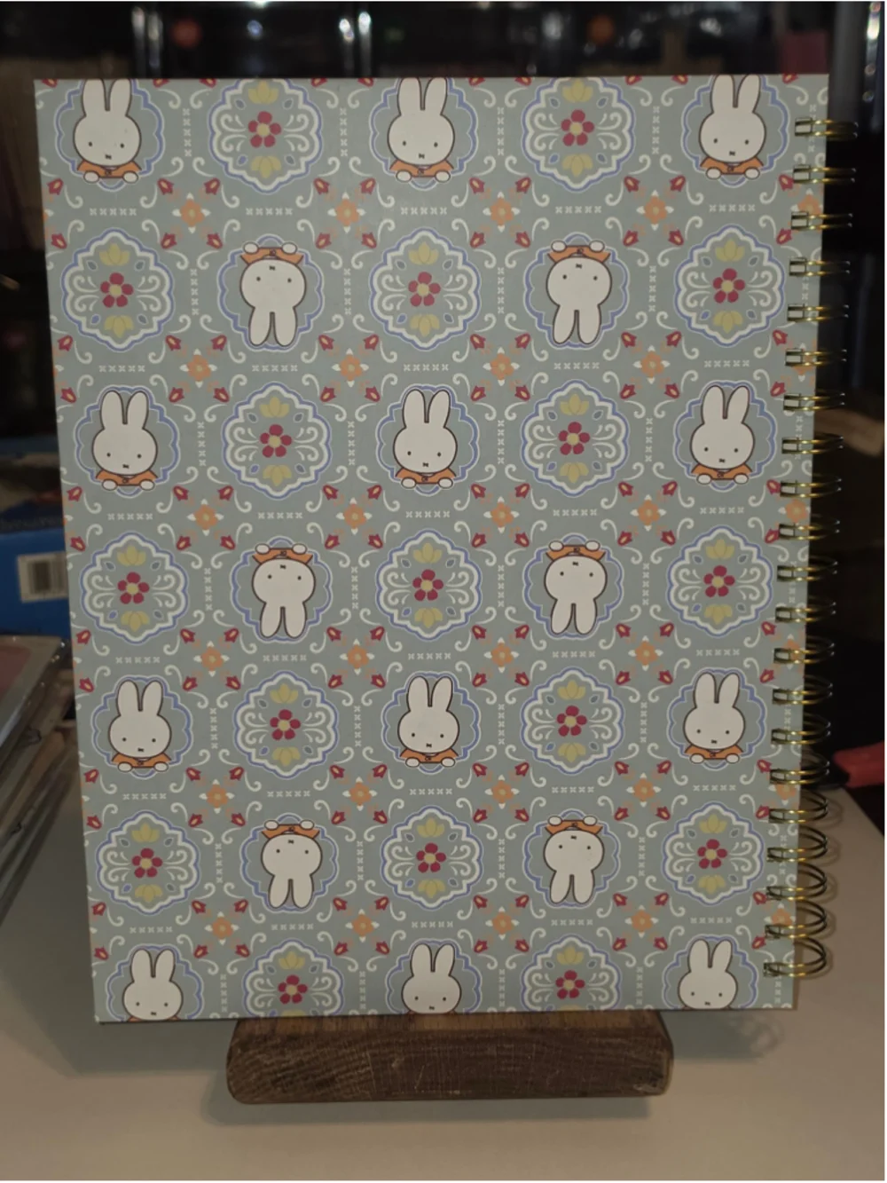 miffy capture your