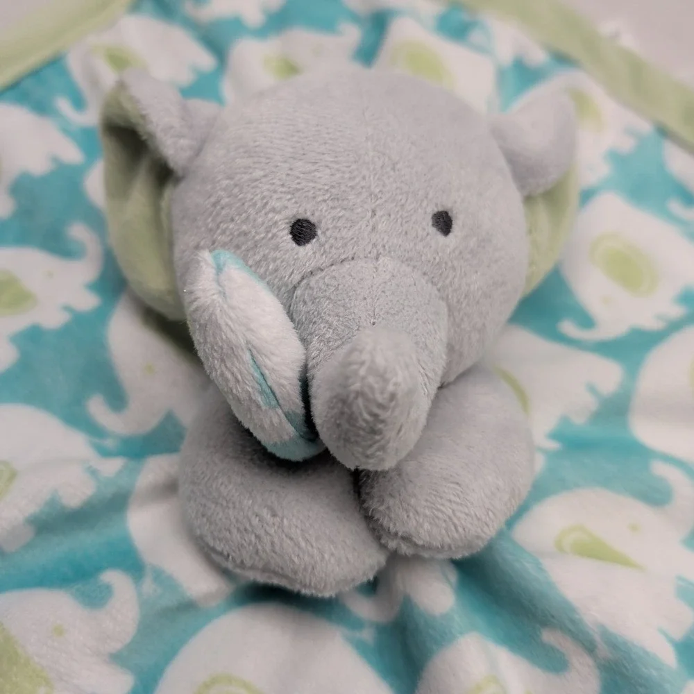 Carters carters grey
