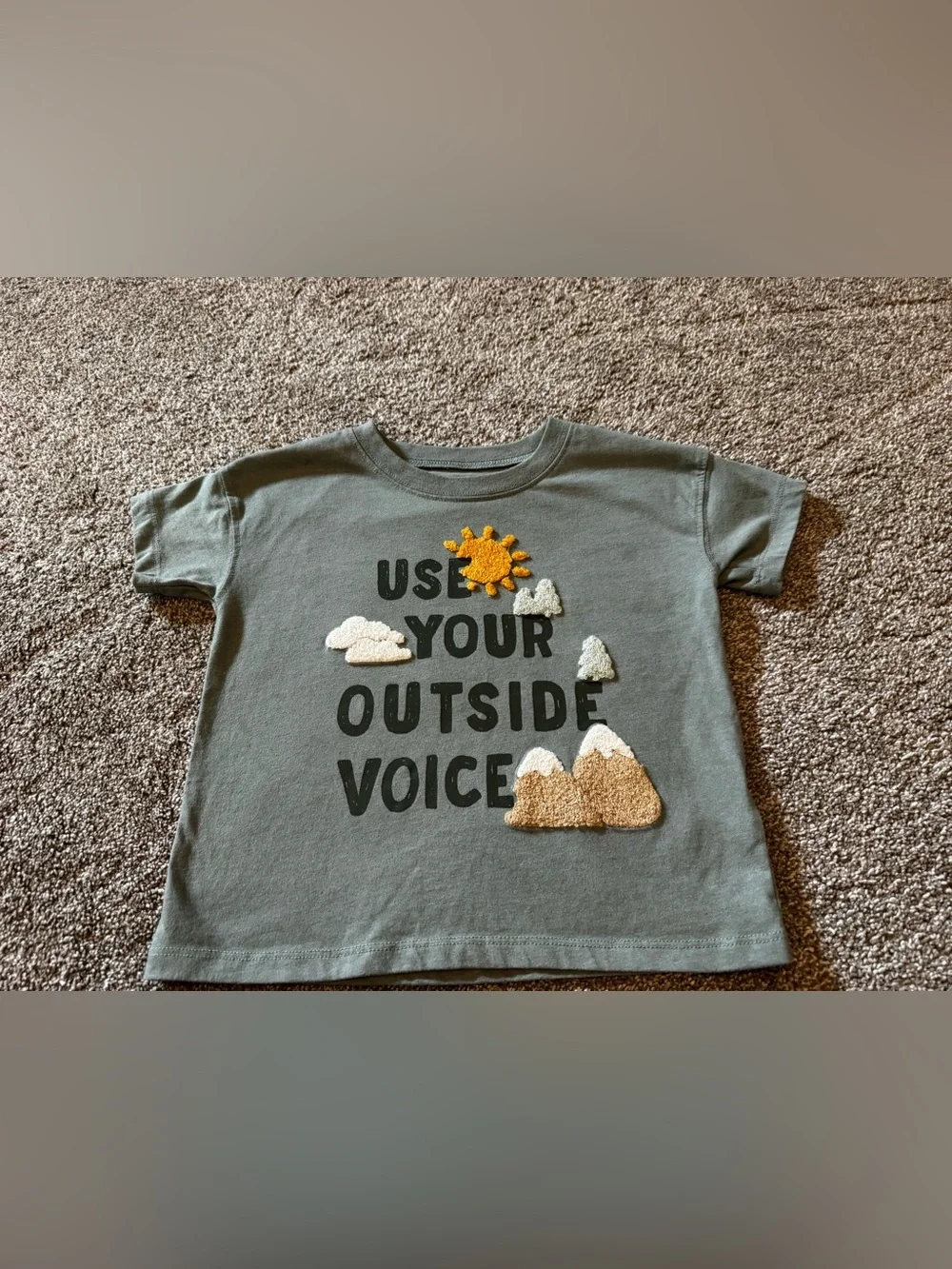 Carter’s Sage Green “Use your outside voice” 4T t-shirt 3D fuzzy Toddler Boy