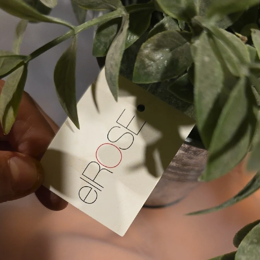 Greenery in Silver Pot - Home Accent