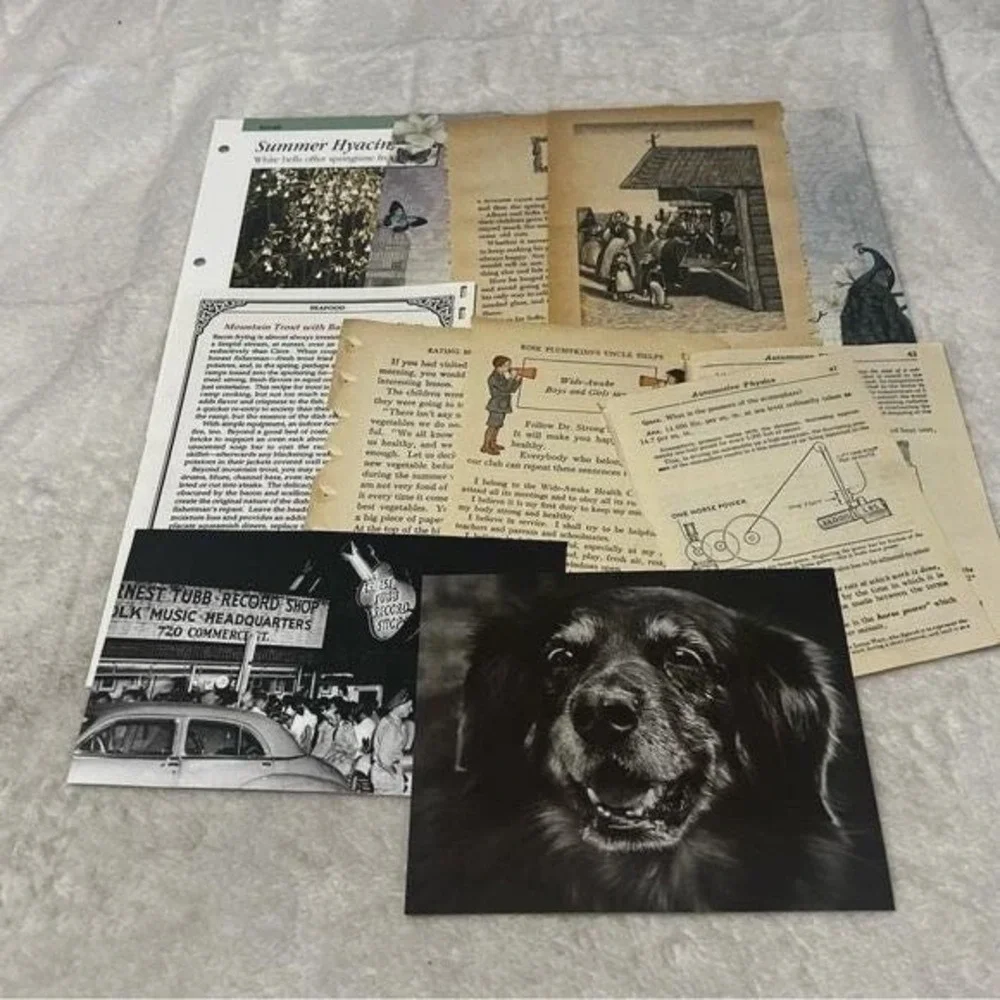 50+ piece Ephemera Lot 17 Collage Crafting Junk Journals Scrapbooking
