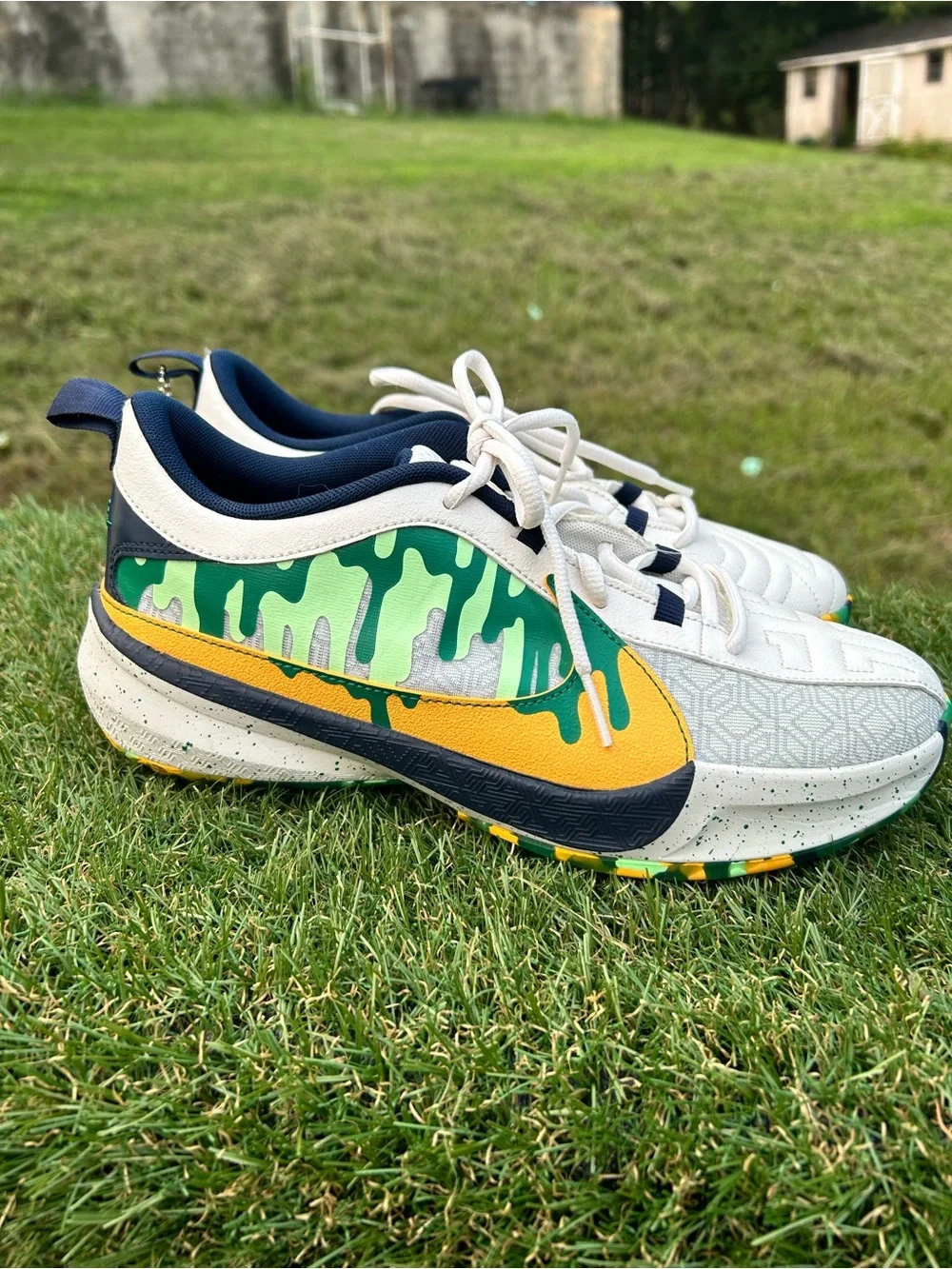 Nike zoom freak