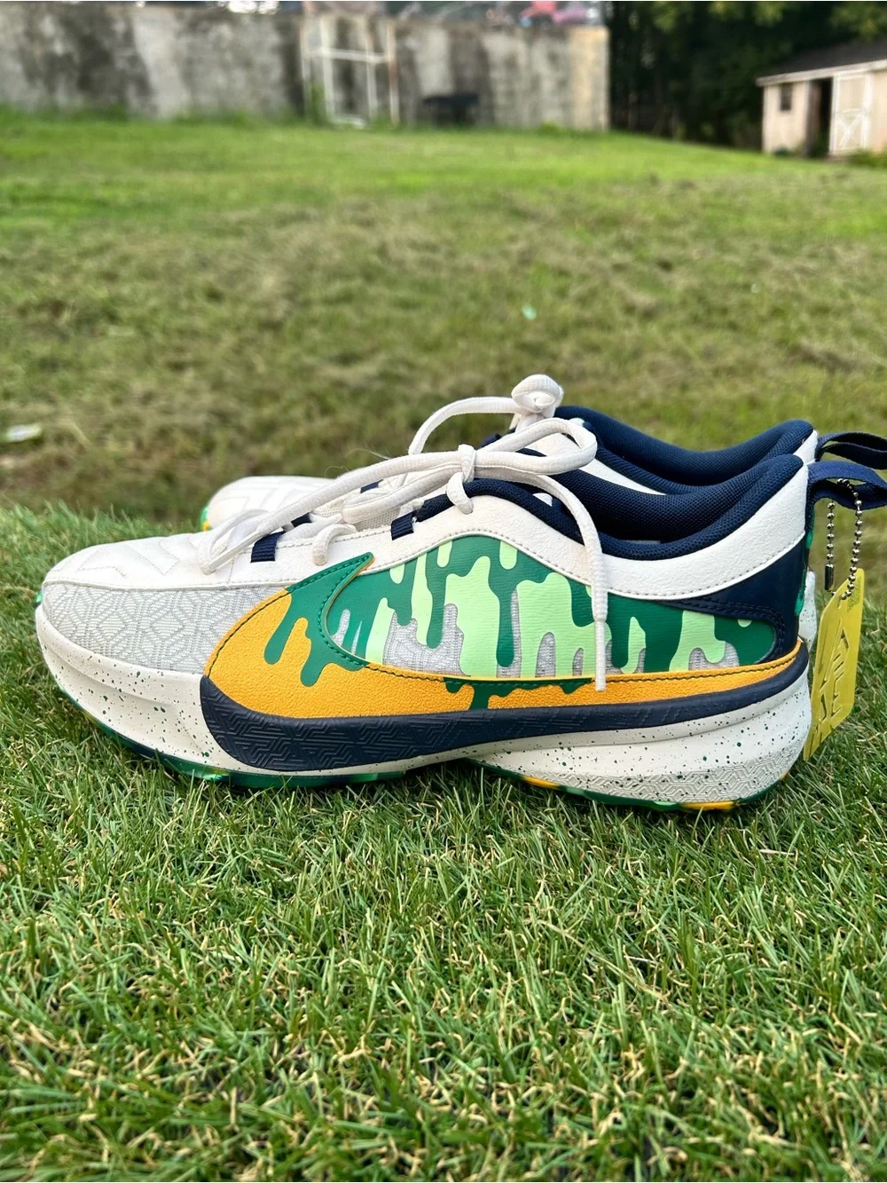 Nike zoom freak