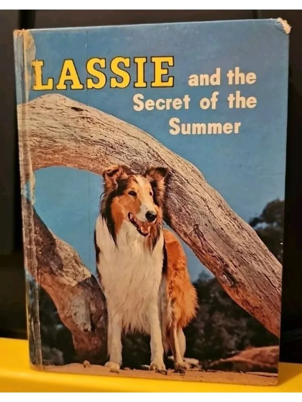 Lassie and the Secret of the Summer Hardcover Book by Dorothea Snow Vintage 1958