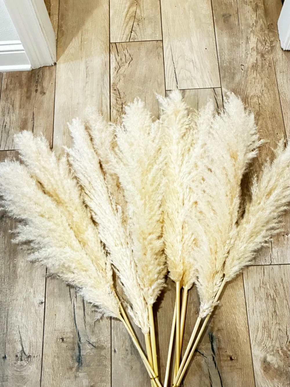 Decorative Pampas Grass Bouquet in Cream - Home Accents. Stems only.